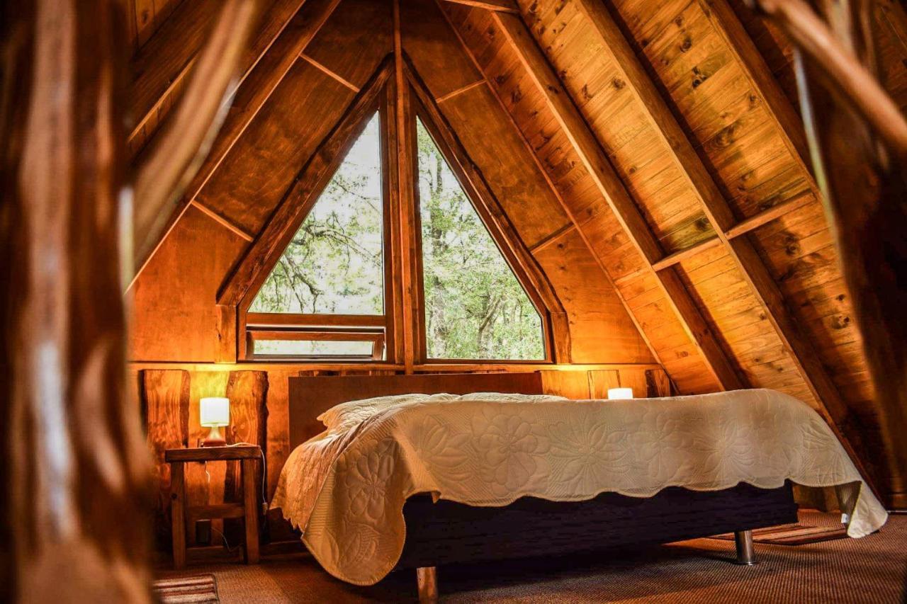 Cabanas Ecoturismo La Pancha Puerto Aisen Dış mekan fotoğraf