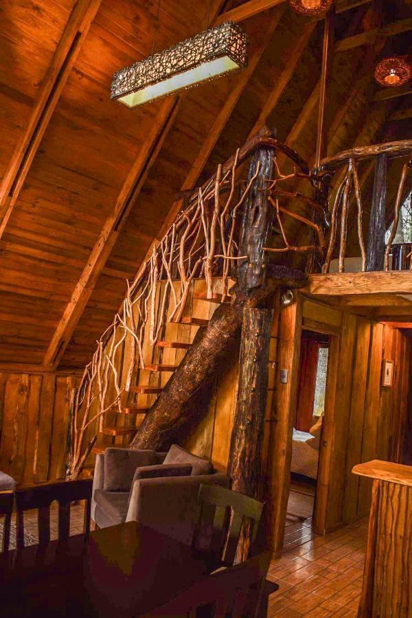 Cabanas Ecoturismo La Pancha Puerto Aisen Dış mekan fotoğraf